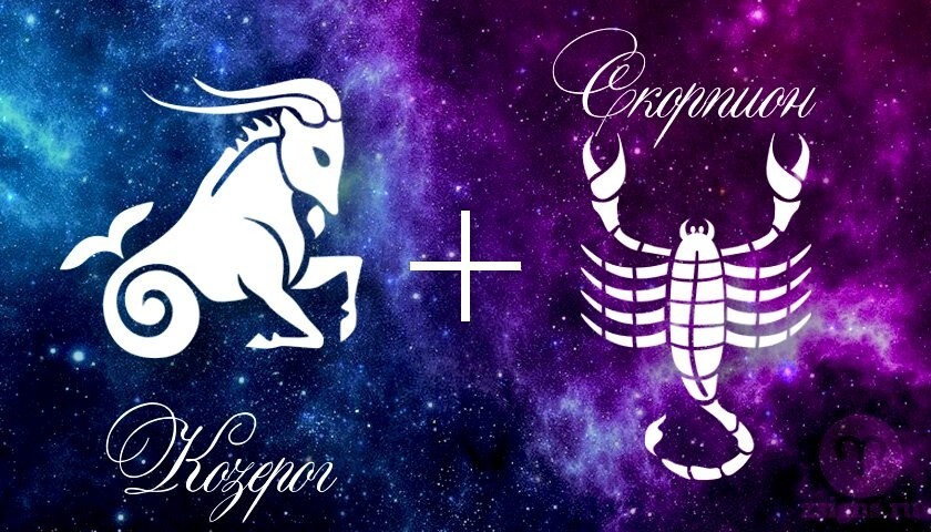 О знаке зодиака Скорпион