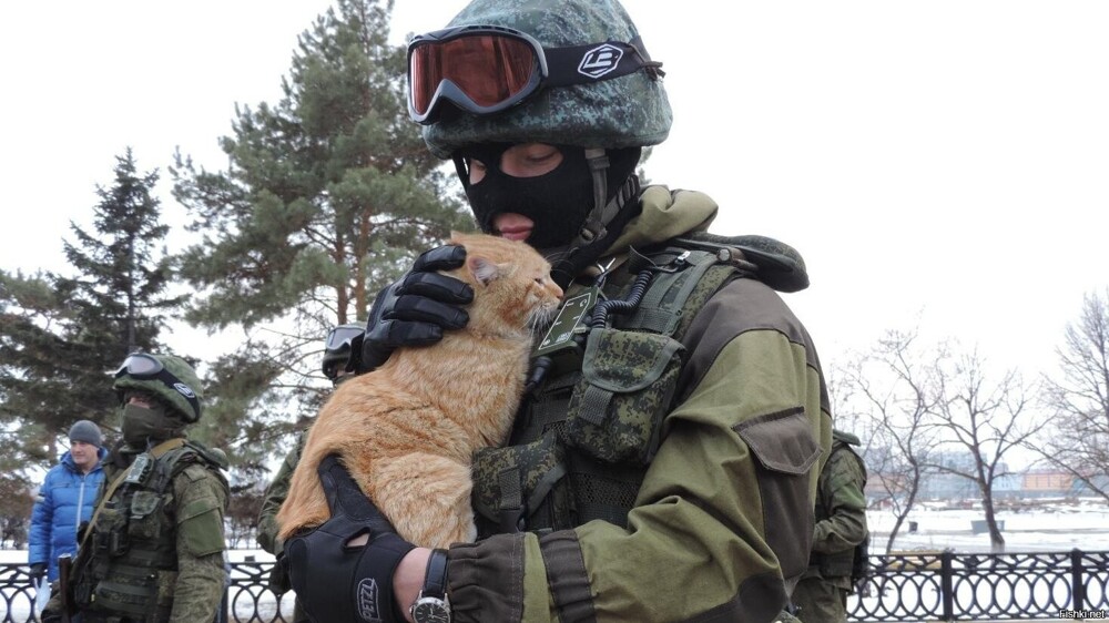… Так вот спрашиваю: как по-украински «кот»