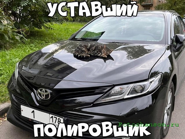 АвтоВсячина