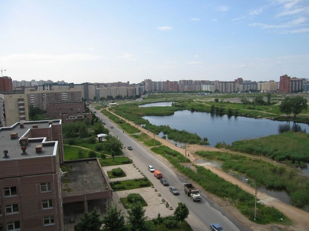 Вид на Ольховую улицу и парк "Озеро Долгое" в Приморском районе.