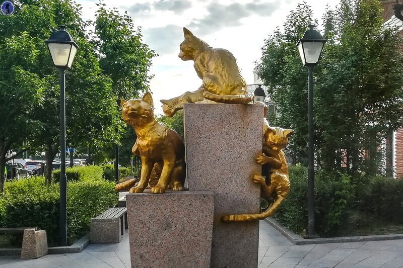 Какой подвиг совершили котики в блокадном Ленинграде
