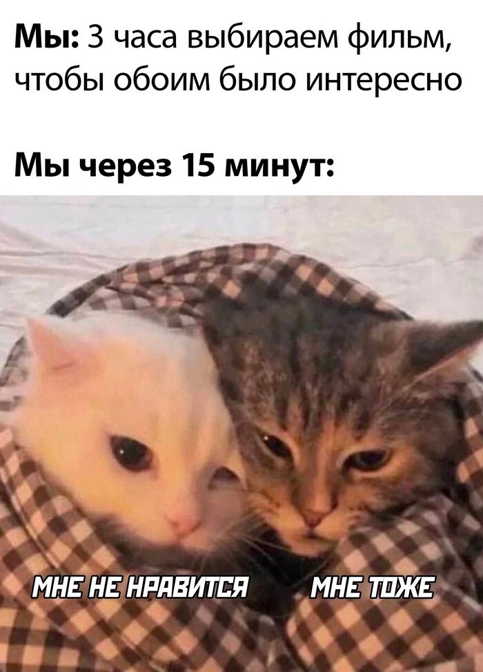 Скрины из соцсетей 