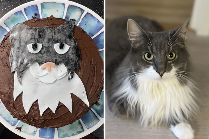 2. «Дочь попросила на день рождения торт в виде одного из наших котов. Я старалась как могла»