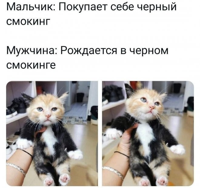 Скрины из соцсетей 