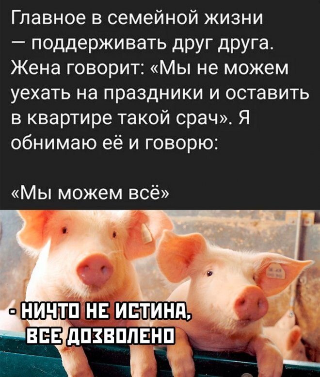 Скрины из соцсетей 