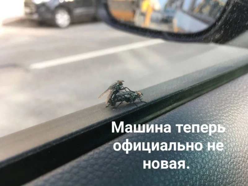 Всё вразнобой 