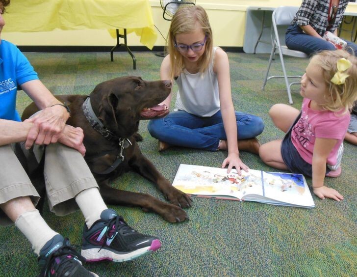 5. Специальные собаки в библиотеках, которые внимательно слушают начинающих читателей