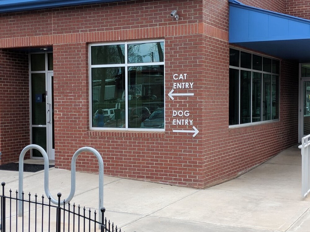 1. В этой ветеринарной клинике есть отдельные входы для кошек и собак