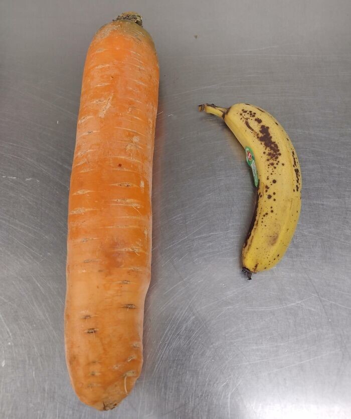 2. «Только посмотрите на эту морковь! Банан для масштаба»
