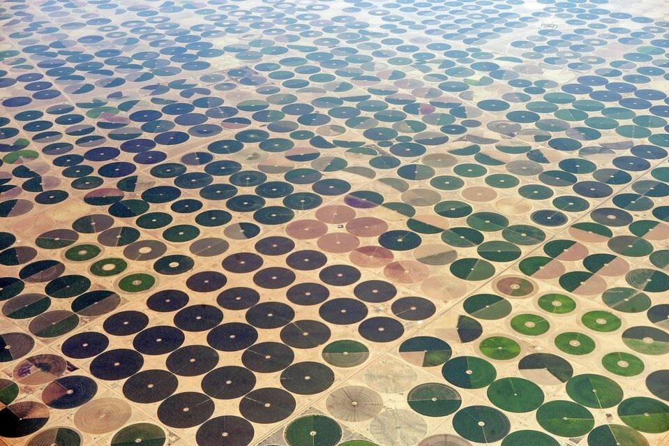 5. Искусственно орошаемые фермерские поля в Саудовской Аравии