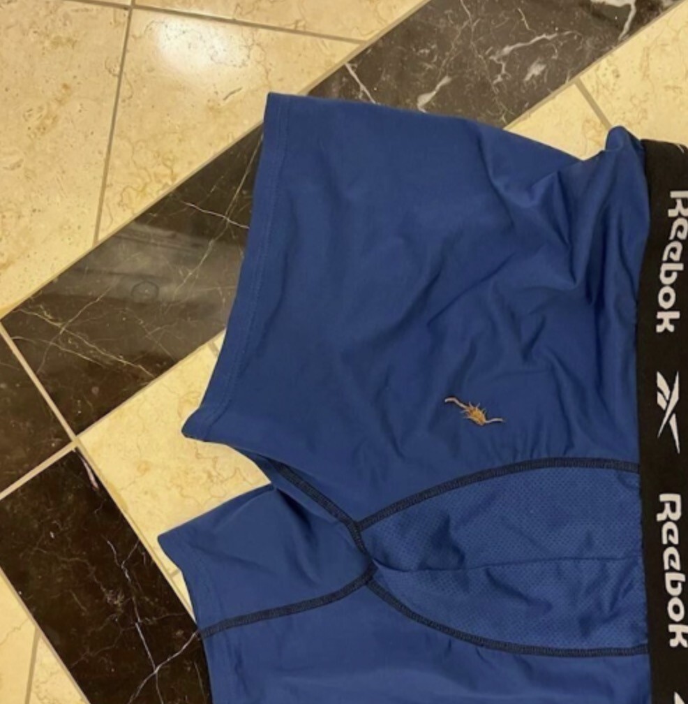 Постояльца отеля в Лас-Вегасе во время сна ужалил скорпион