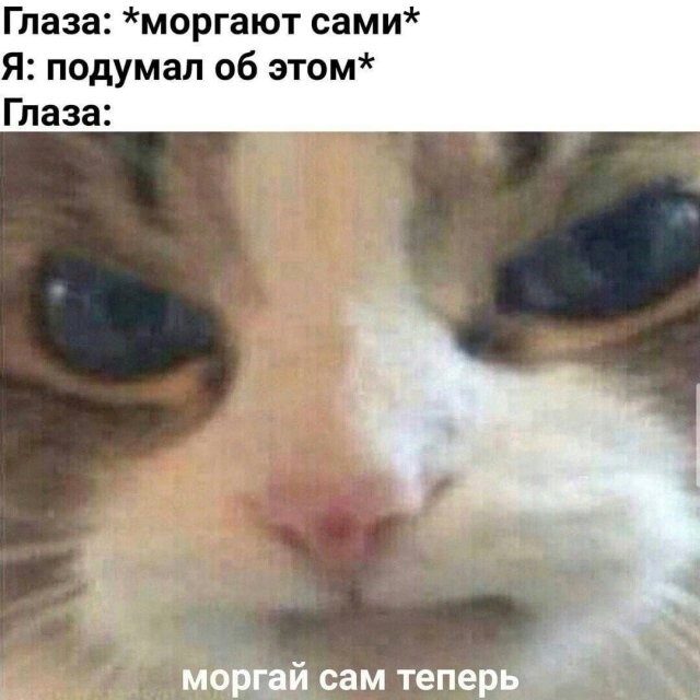 Скрины из соцсетей 