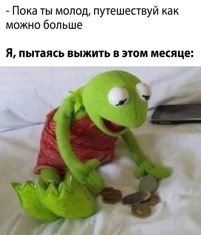 Скрины из соцсетей 