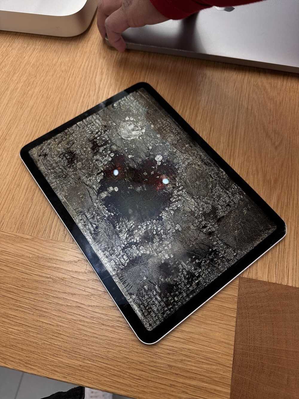 «Моя мама случайно испекла свой iPad в духовке»