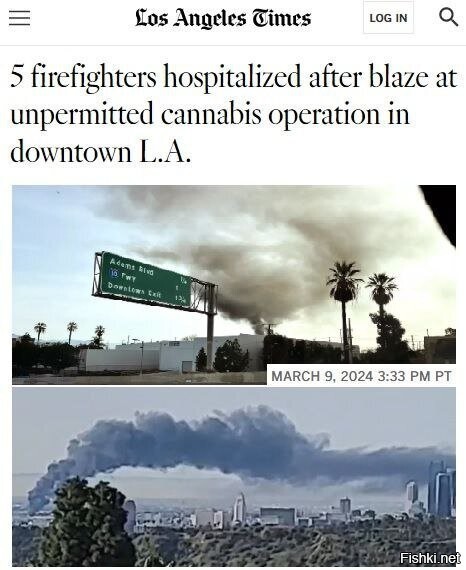 В Лос-Анджелесе загорелась нелегальная ферма по выращиванию марихуаны