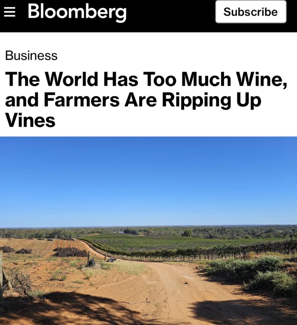 "В мире слишком много вина". Почему фермеры сжигают виноградники