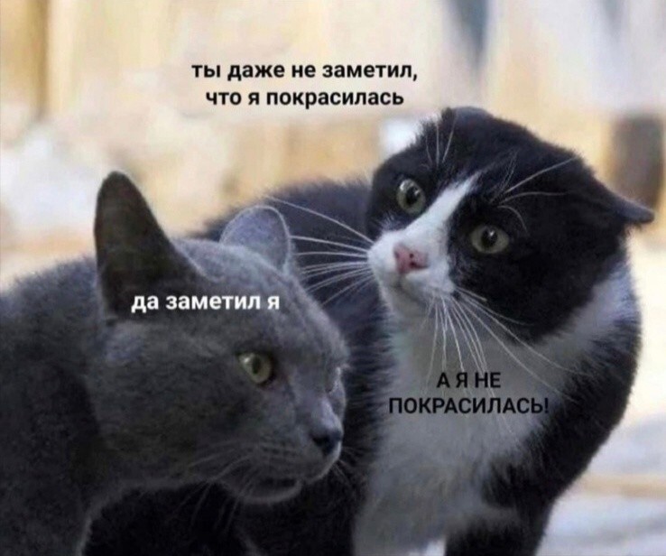 Всё вразнобой 