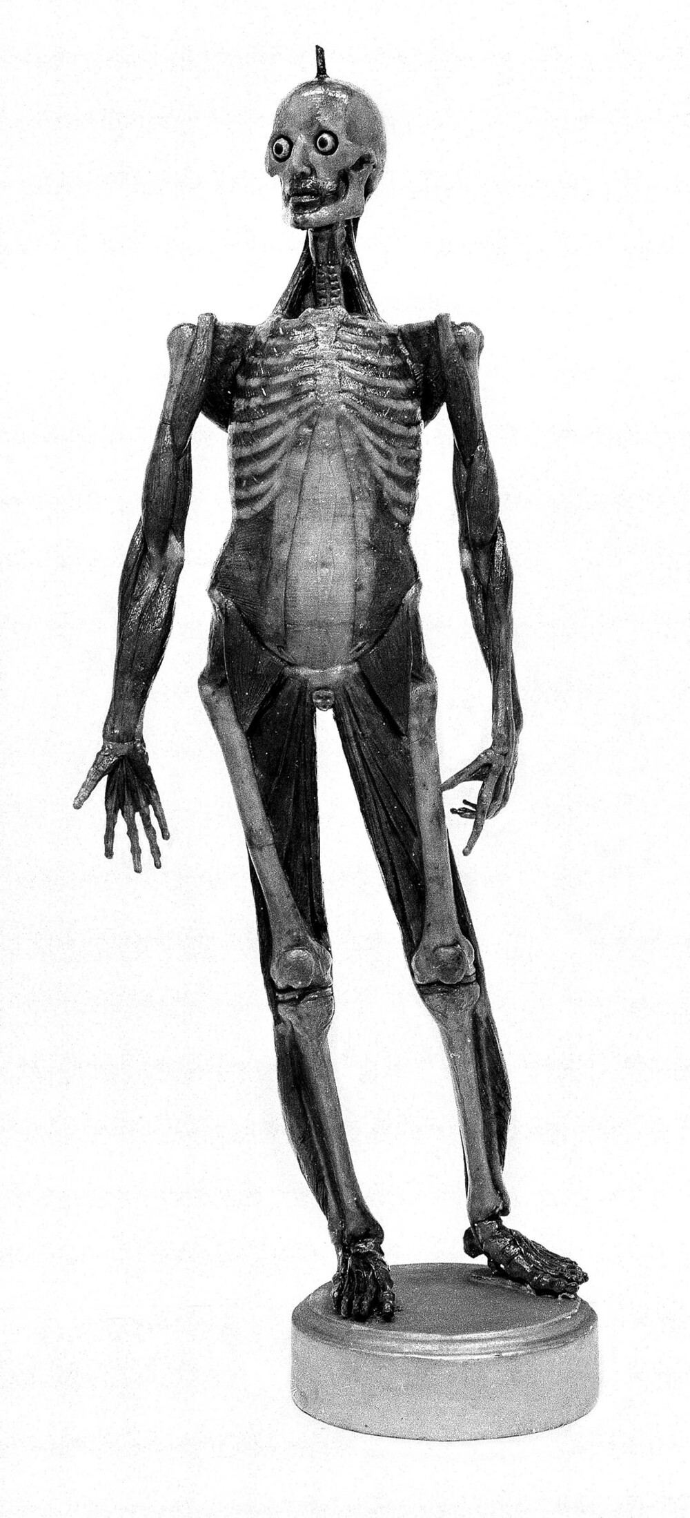 11. Восковая фигура для преподавания анатомии, около 1700 год