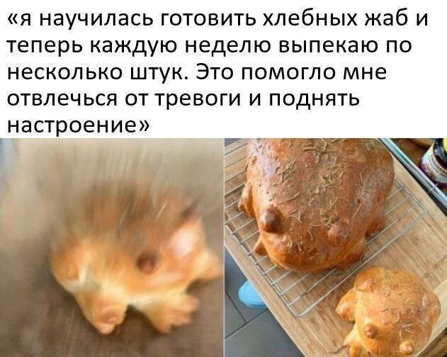 Не ищите здесь смысл. Здесь в основном маразм