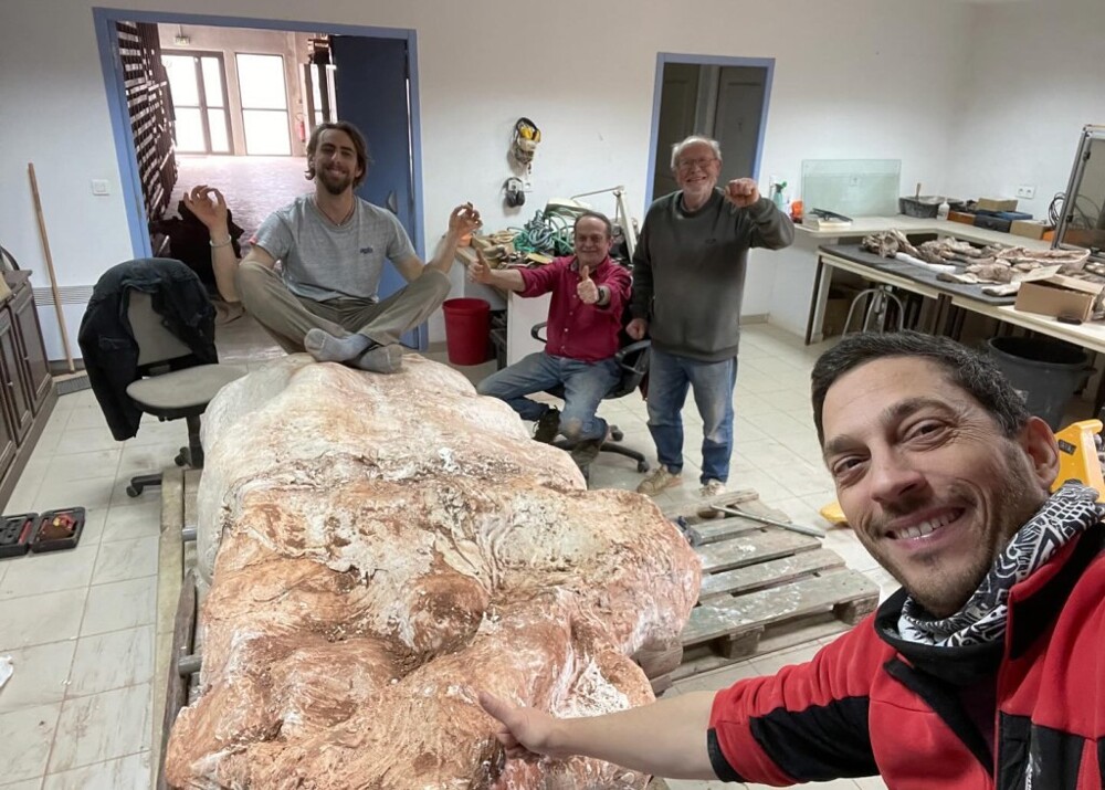 Француз нашёл нетронутый скелет гигантского динозавра