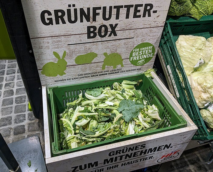 1. В супермаркете есть ящик с бесплатной зеленью для питомцев