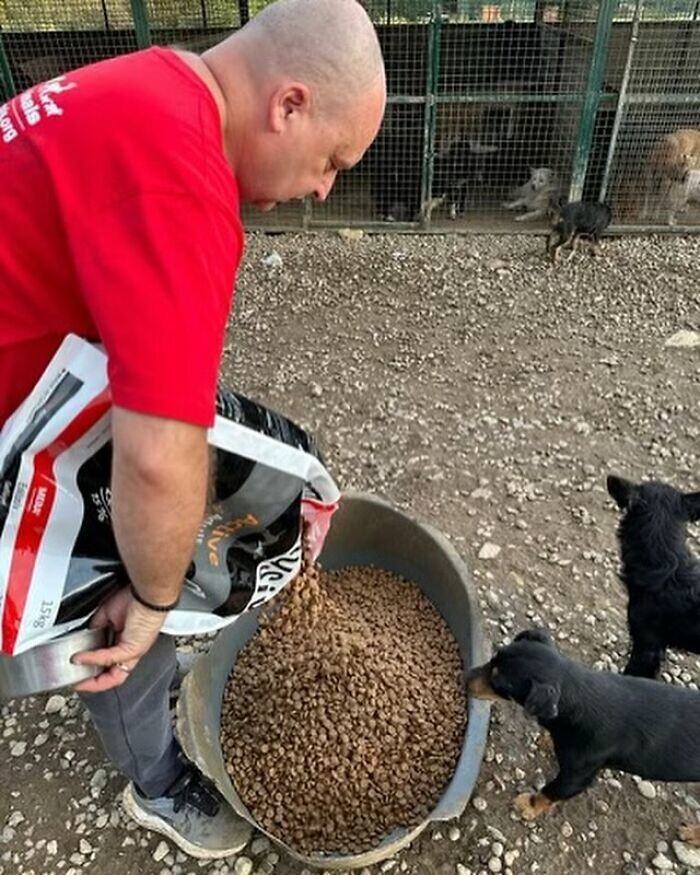 Мужчина из Сербии заботится о тысячах бездомных животных