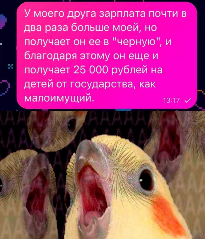 Скрины из соцсетей             