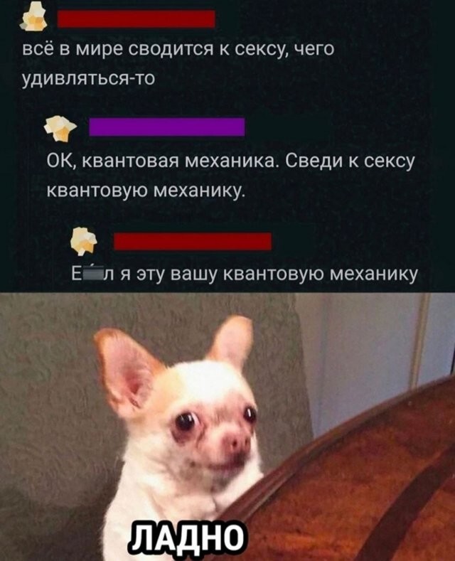 Скрины из соцсетей             