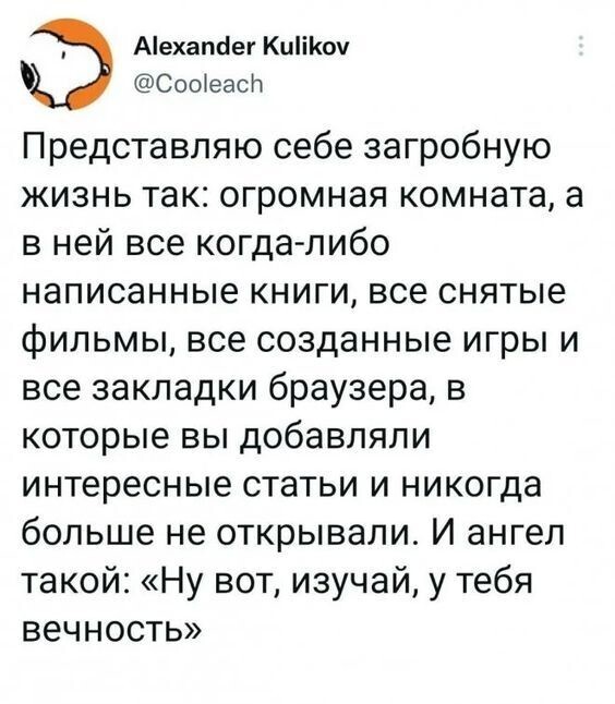 Скрины из соцсетей             