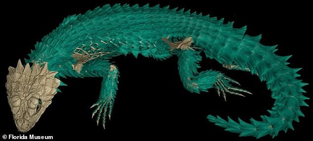 Учёные отсканировали более 13 000 экспонатов и создали 3D-музей позвоночных животных