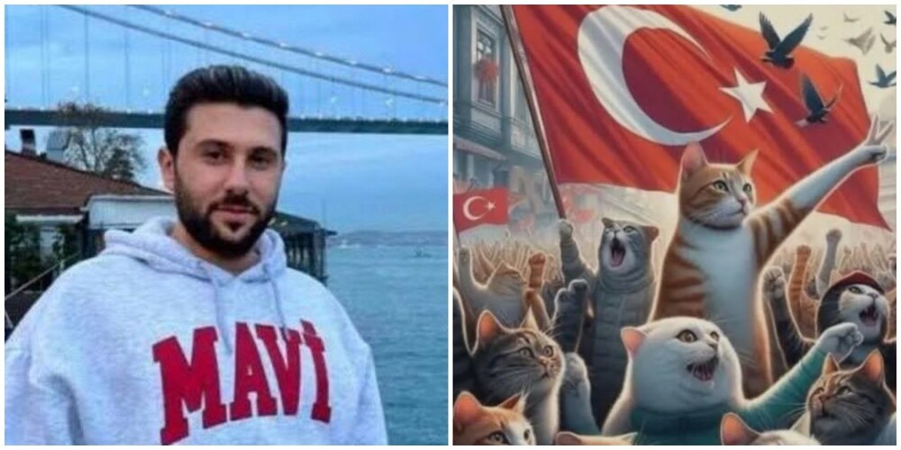 За убийство бездомного котика в Турции живодёра приговорили к рекордному тюремному сроку