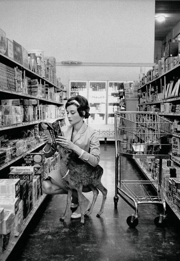 13. Одри Хепберн ходит по магазинам со своим домашним оленем Пиппином, 1959 год 