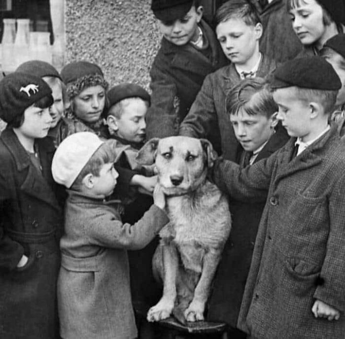5. Дети заботятся о псе, хозяин которого умер. 1936 год, Англия