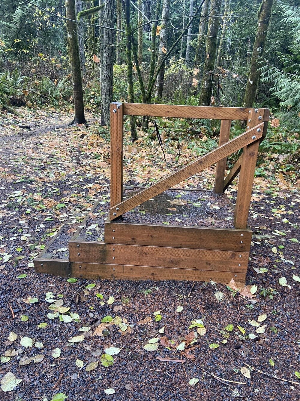 4. Что это за лестница с платформой? Она расположена у входа в местный лес с пешеходными тропами