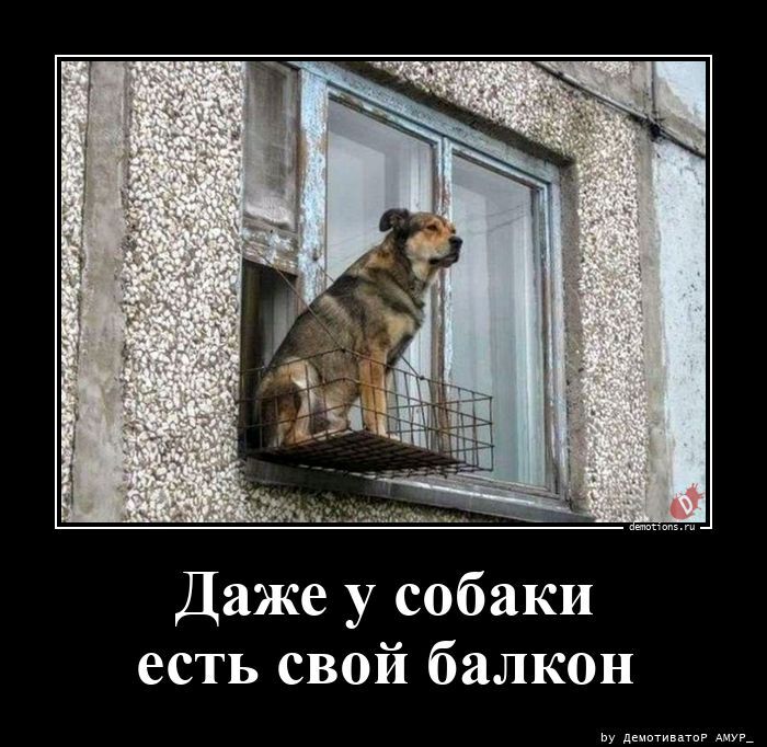 Даже у собаки есть свой. балкон