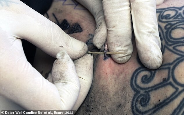 Учёные разгадали тайну самых древних татуировок в мире