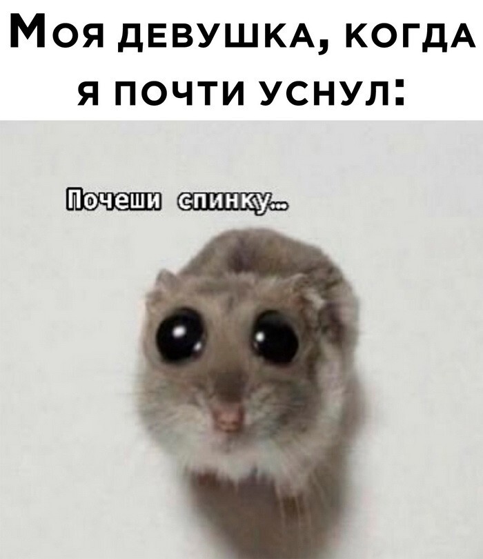 Скрины из соцсетей            