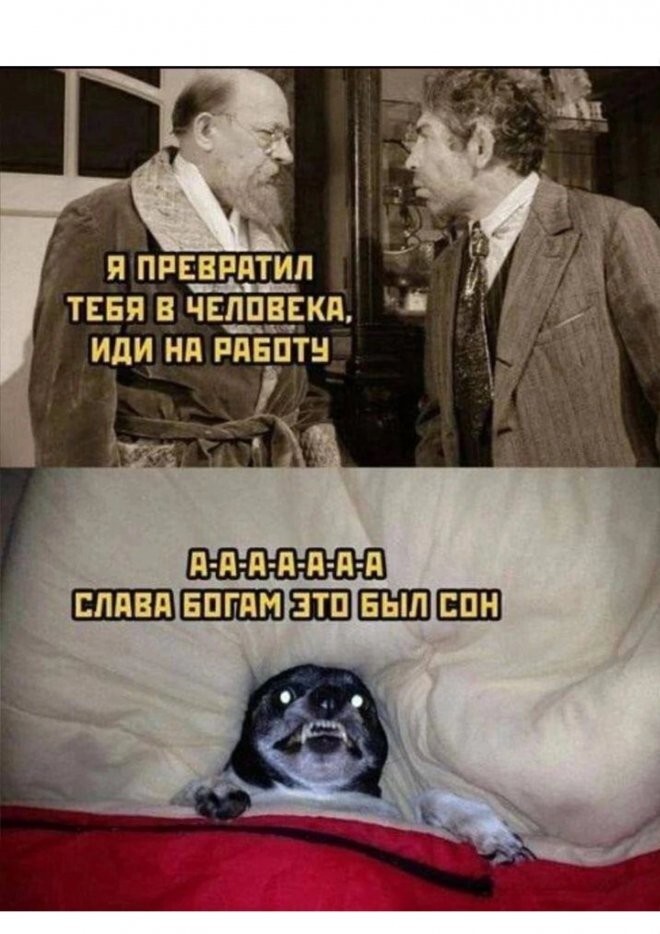 Скрины из соцсетей            