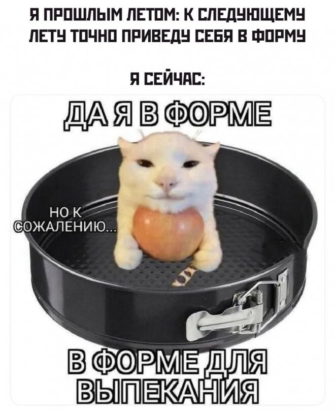 Скрины из соцсетей            