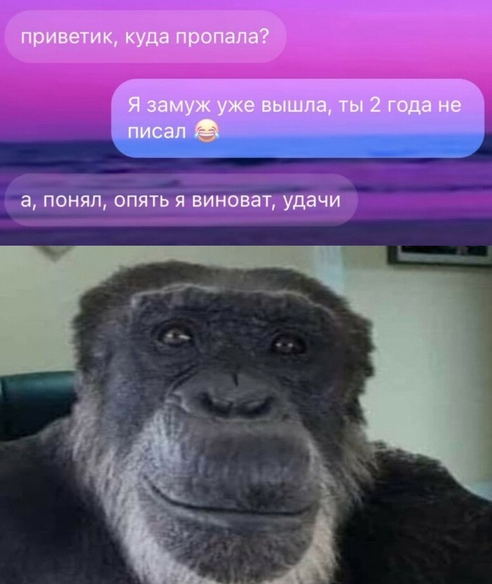 Скрины из соцсетей            