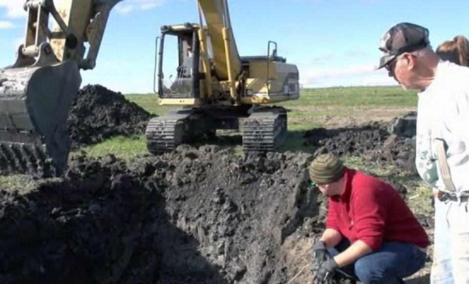 Фермер нашел на участке "странный длинный" камень: он оказался настоящим сокровищем для палеонтологов
