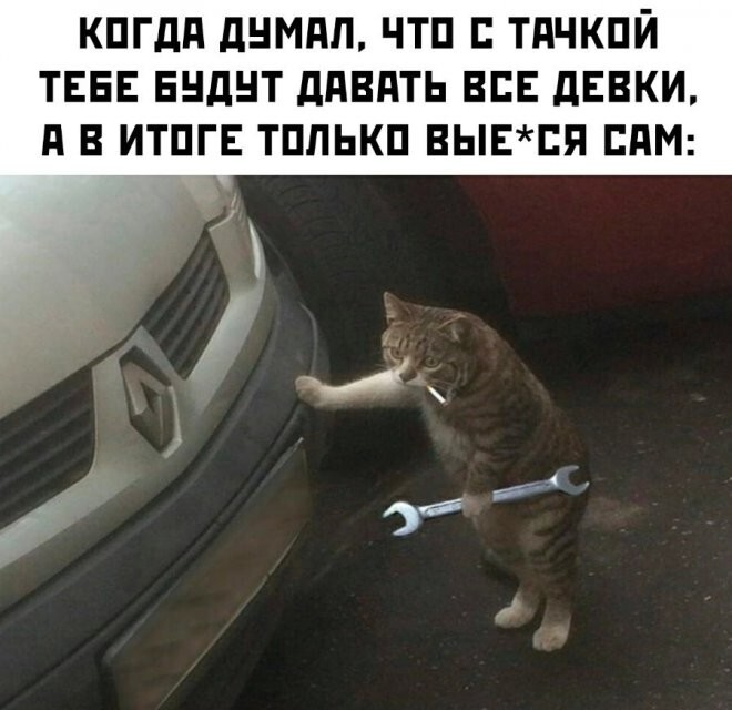 Скрины из соцсетей            