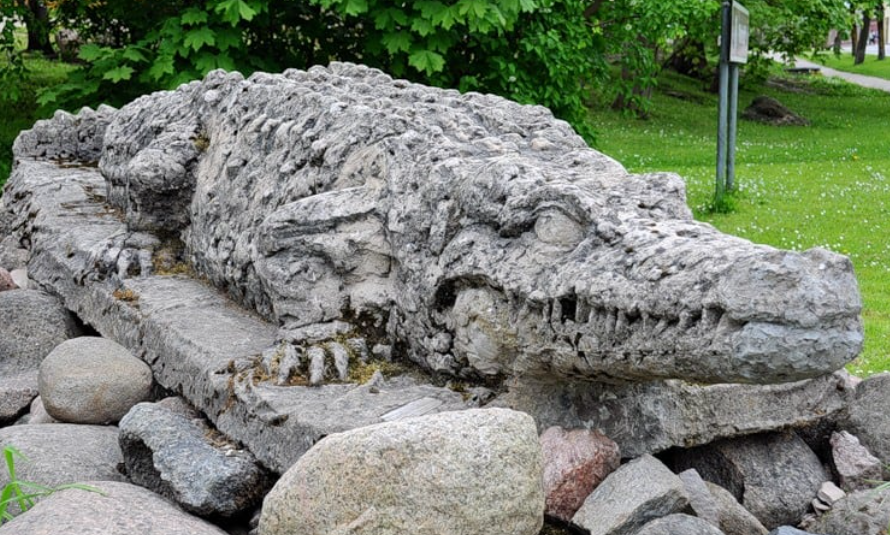Как снимали фильм "Крокодил Данди": кадры со съемок и 18 интересных фактов о фильме