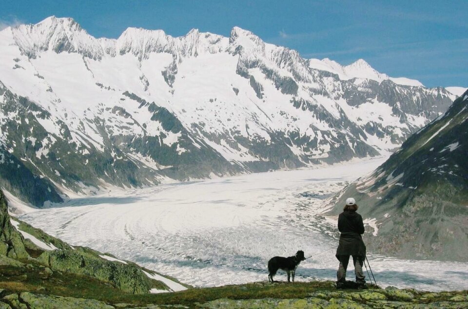 "Прижималась, чтобы согреть": альпинист 7 дней ждал спасения в горах и выжил благодаря своей собаке