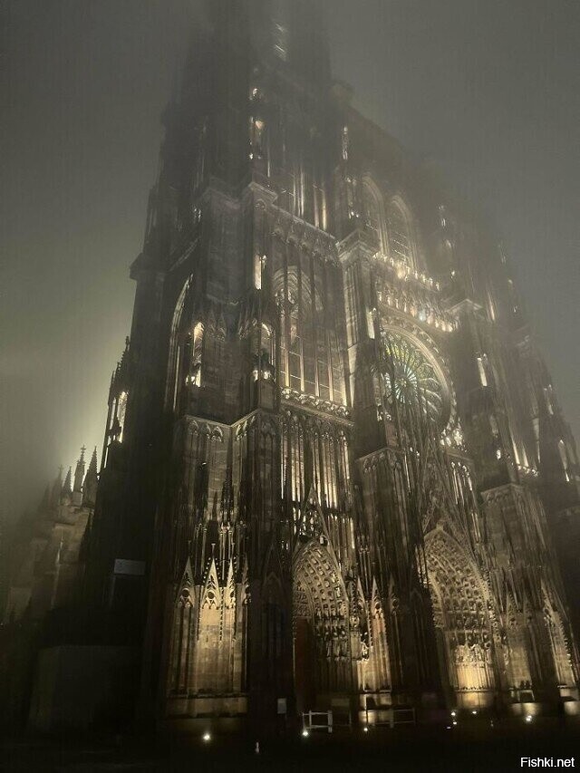 Страсбургский собор в тумане