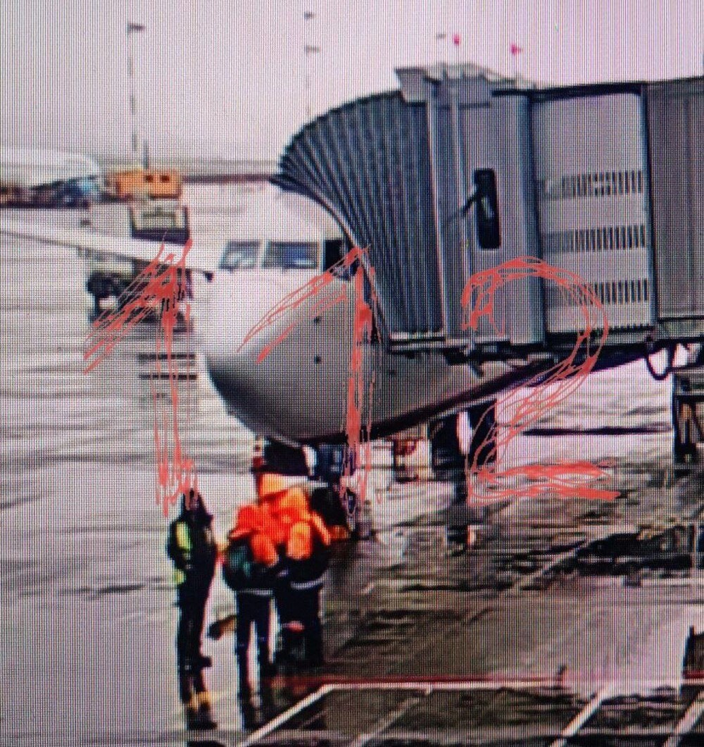 Пассажирка самолёта взбесилась из-за разговора стюардессы и заявила, что у неё в рюкзаке бомба
