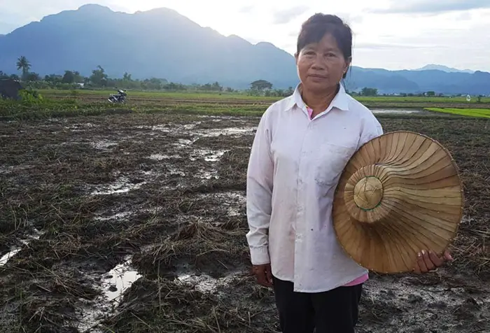 1. Эта фермерша потеряла свою рисовую плантацию, во время спасательной операции детей из тайской пещеры. Она сказала, что рис можно снова посадить, а детей - нет