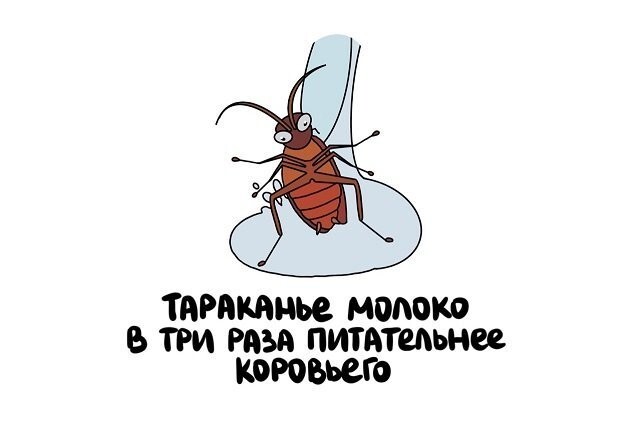 А вдруг ты не знал…