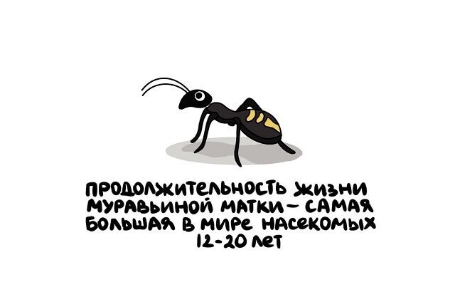 А вдруг ты не знал…