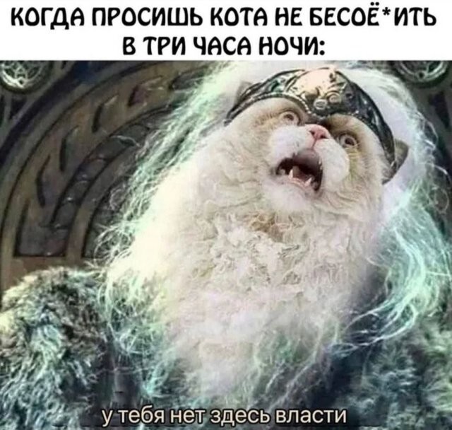 Скрины из соцсетей            